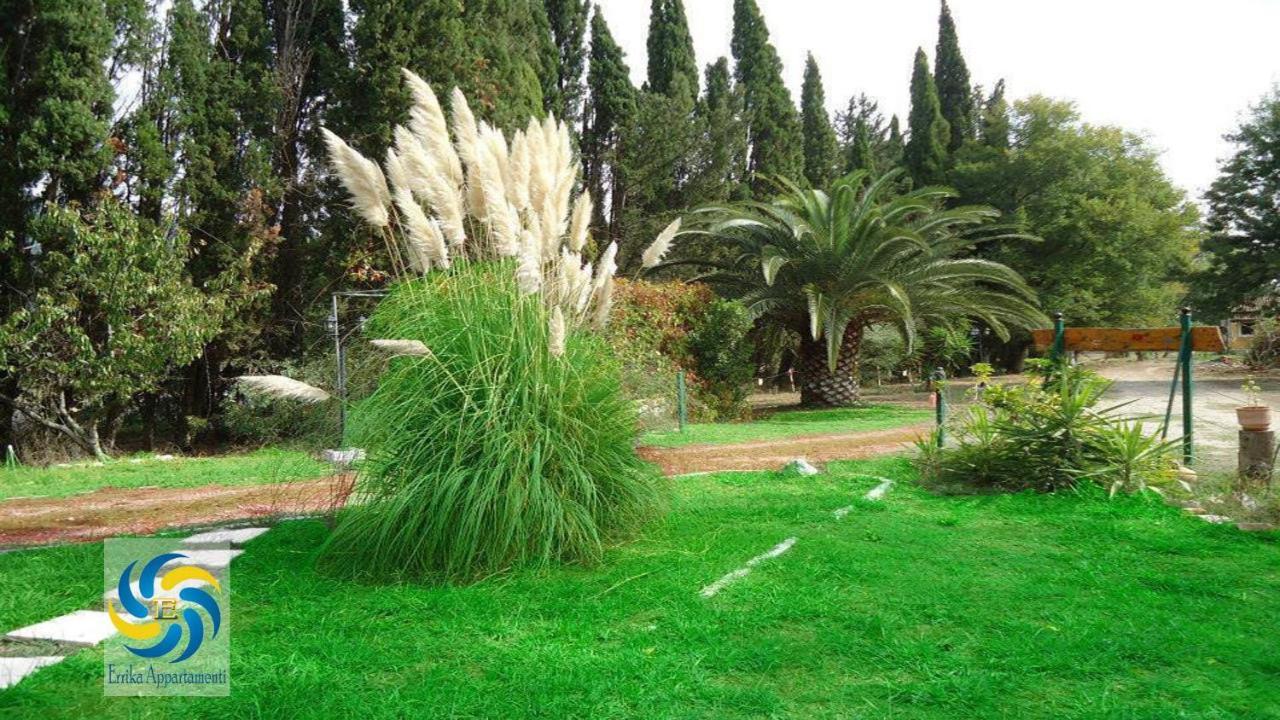 דירות איפסוס Errika מראה חיצוני תמונה