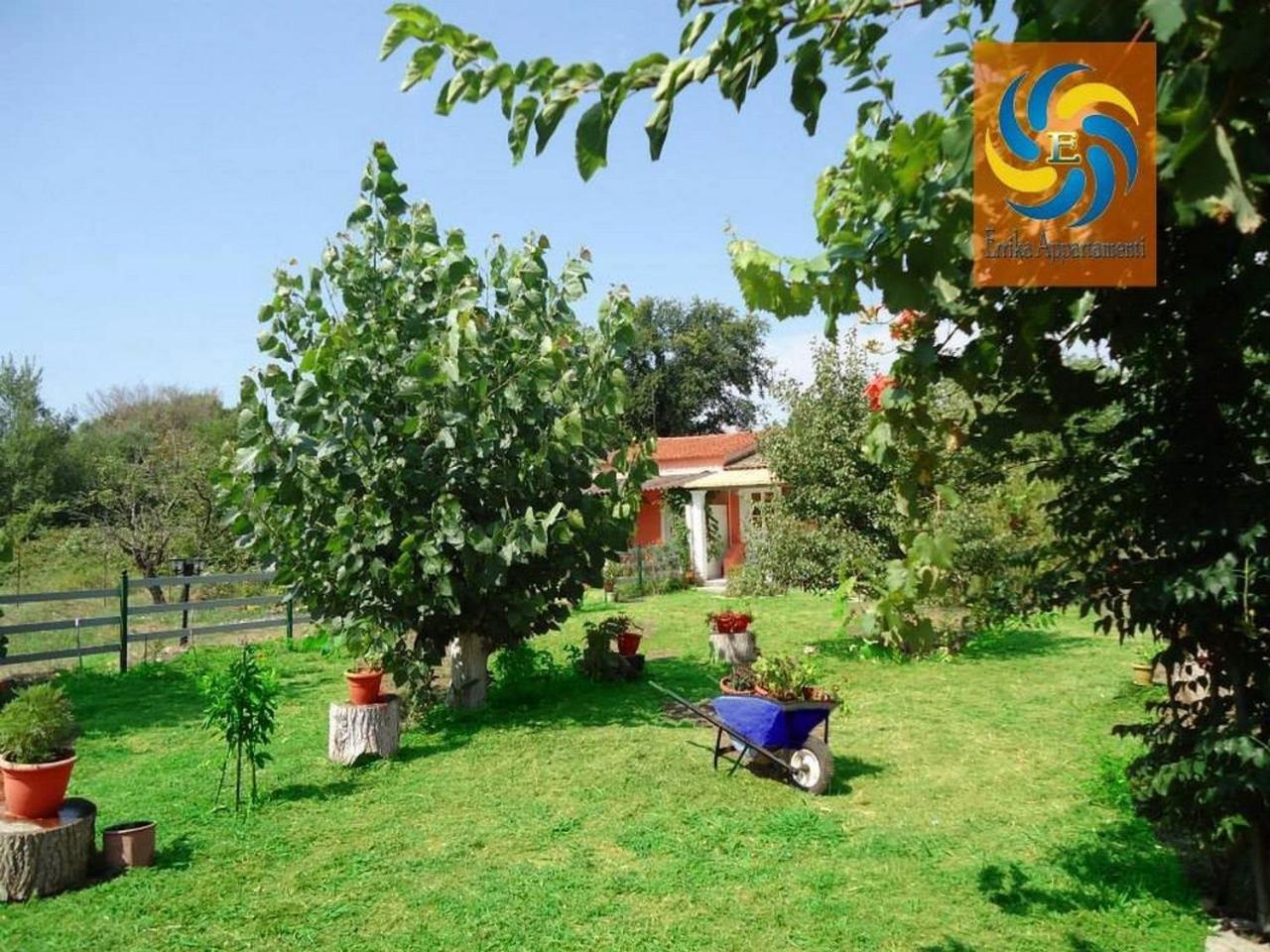 דירות איפסוס Errika מראה חיצוני תמונה